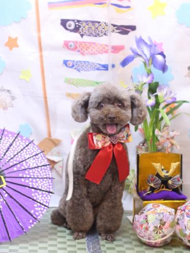 20240512モカくん